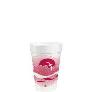 Dart Cup W/ Cranberry 16 oz